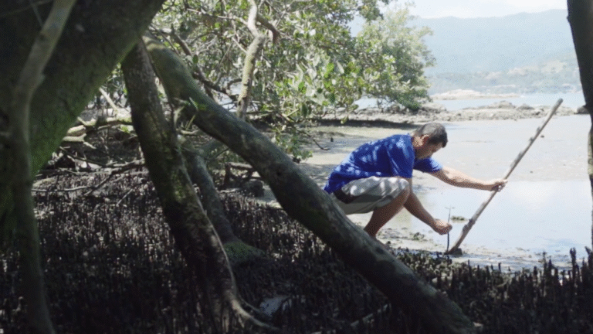 senhor Humberto no mangue